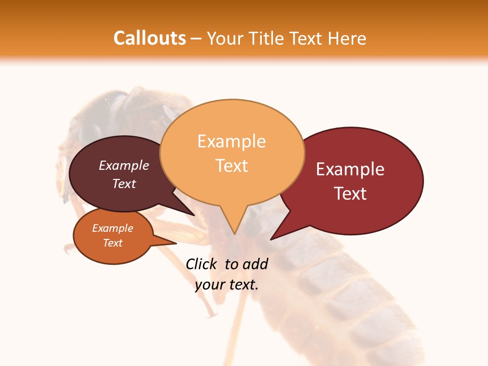 Bunch Macro Wing PowerPoint Template