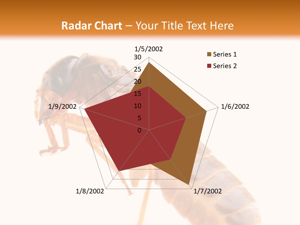 Bunch Macro Wing PowerPoint Template