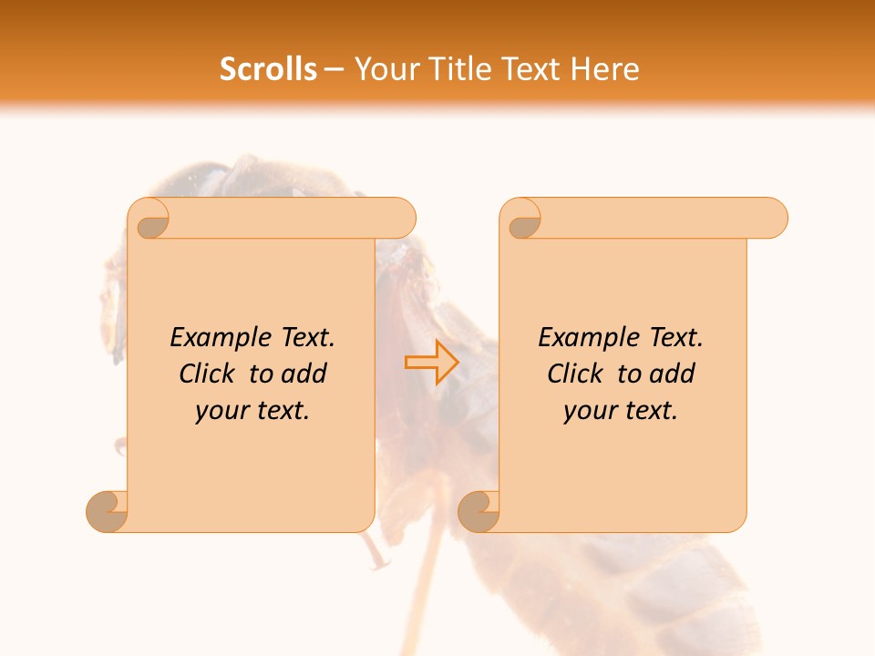 Bunch Macro Wing PowerPoint Template