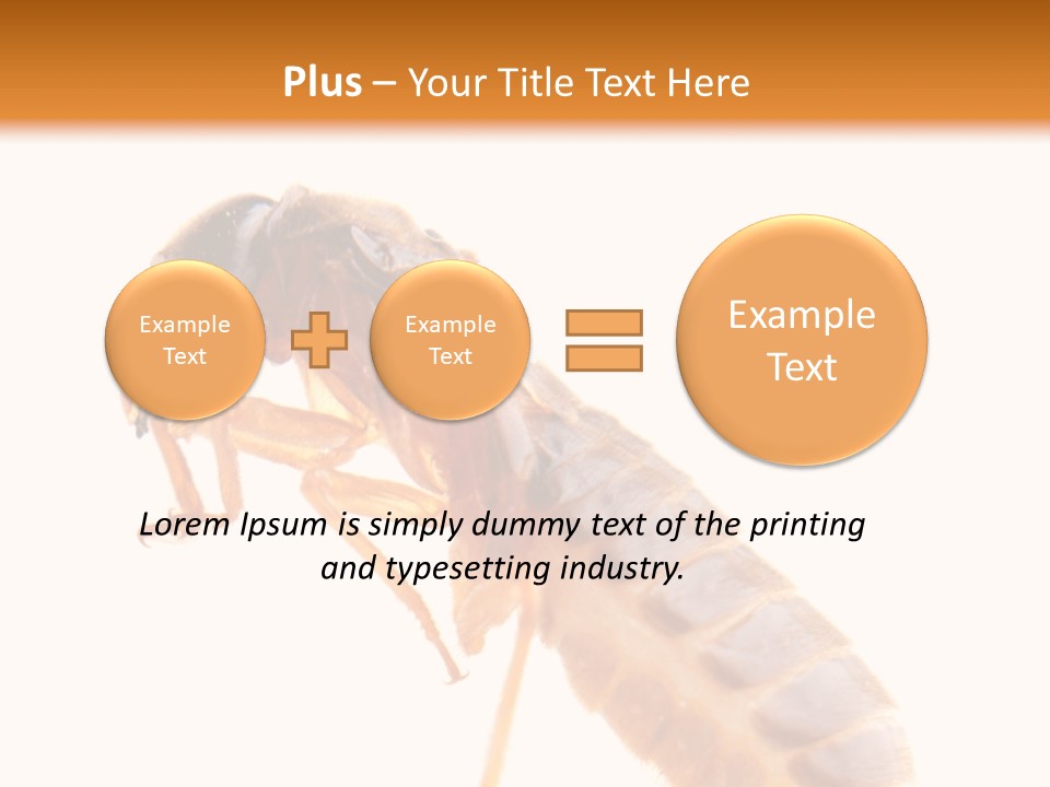 Bunch Macro Wing PowerPoint Template