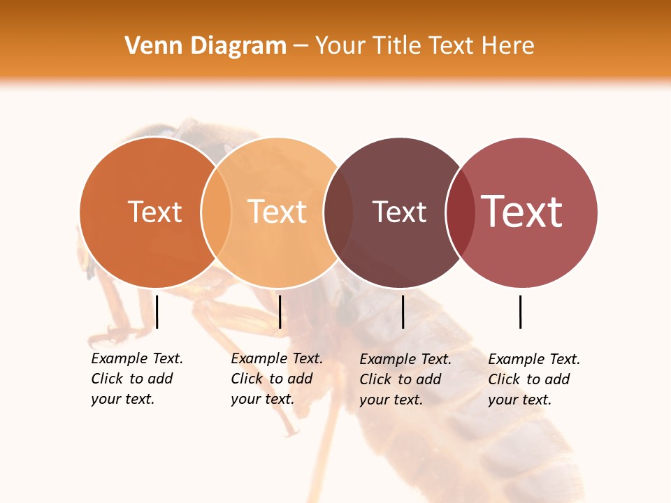 Bunch Macro Wing PowerPoint Template