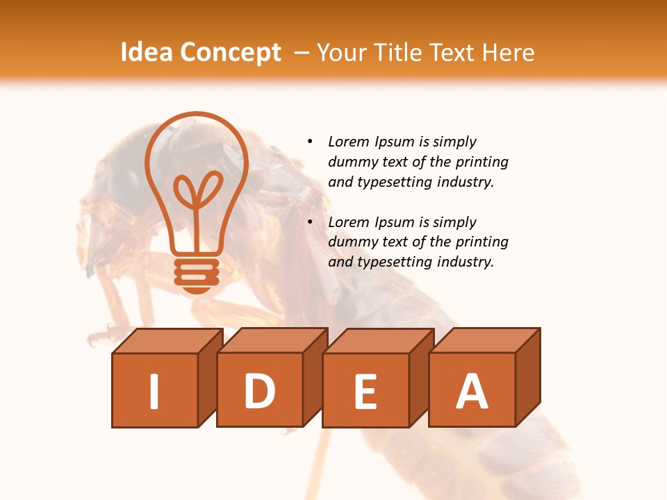 Bunch Macro Wing PowerPoint Template