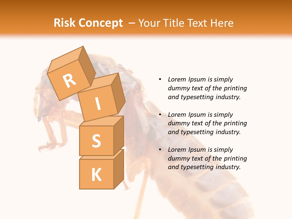 Bunch Macro Wing PowerPoint Template