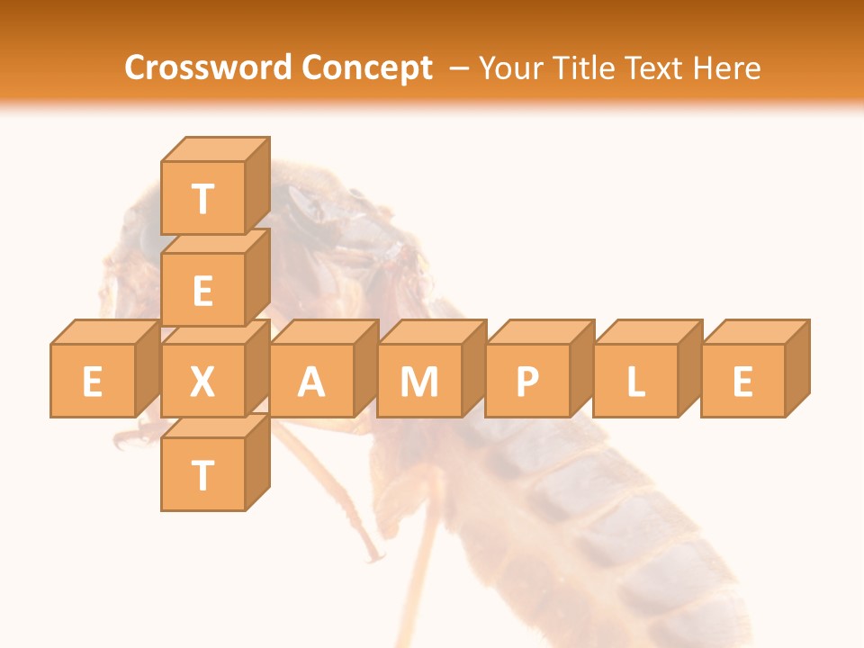 Bunch Macro Wing PowerPoint Template
