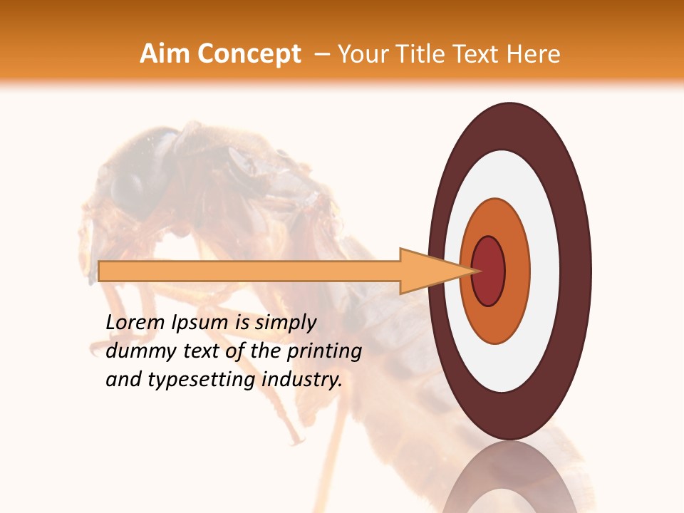 Bunch Macro Wing PowerPoint Template