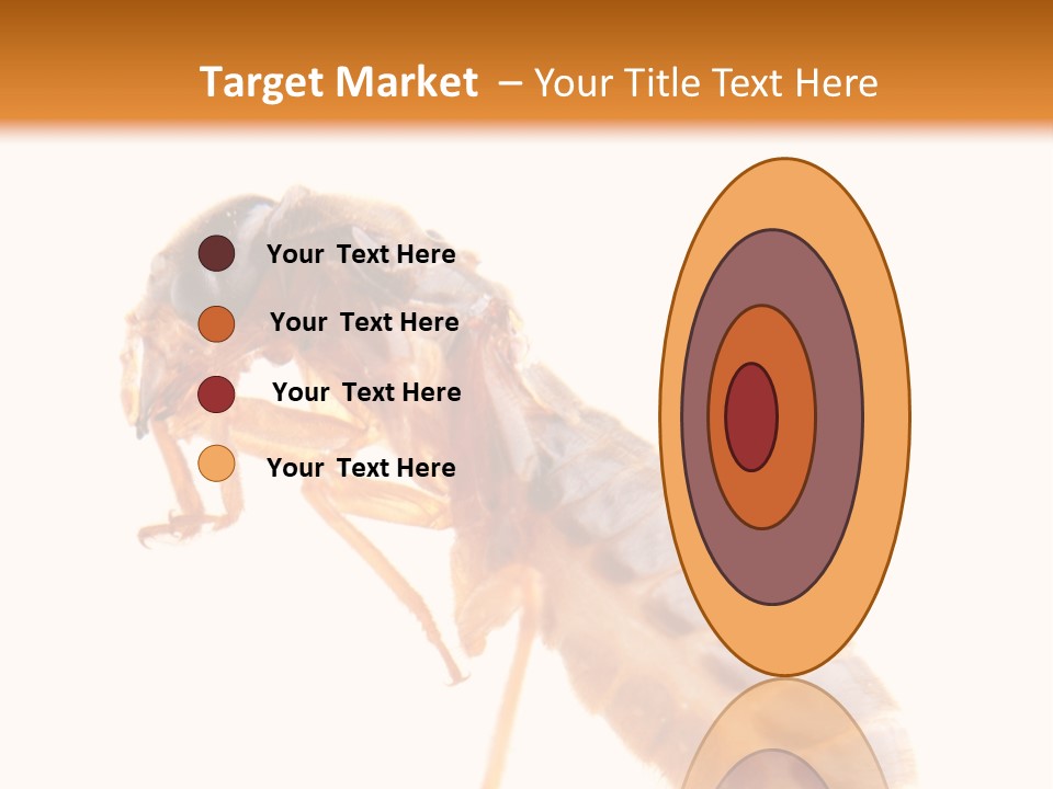 Bunch Macro Wing PowerPoint Template
