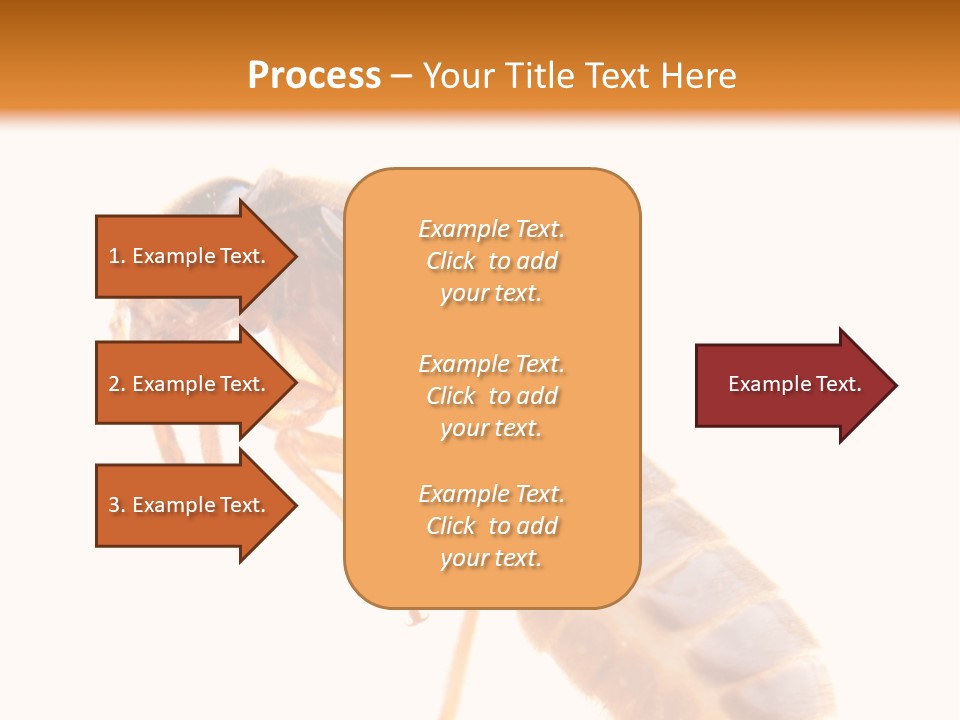 Bunch Macro Wing PowerPoint Template