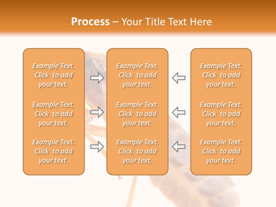 Bunch Macro Wing PowerPoint Template