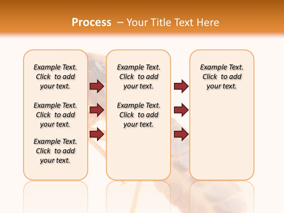 Bunch Macro Wing PowerPoint Template