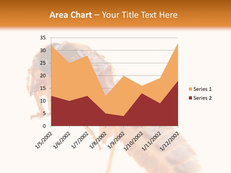 Bunch Macro Wing PowerPoint Template