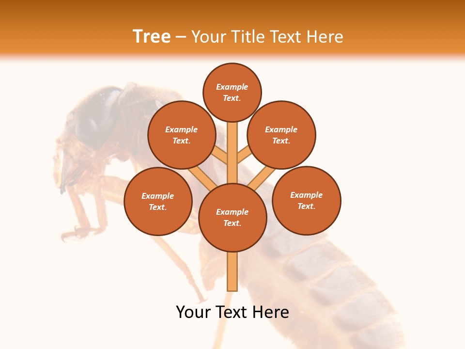 Bunch Macro Wing PowerPoint Template