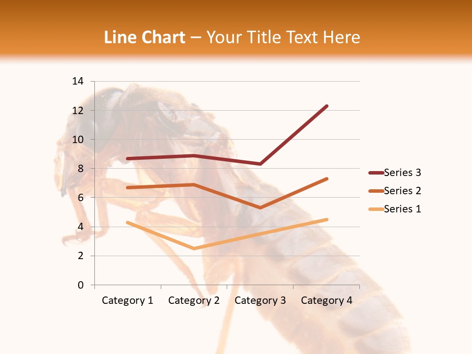 Bunch Macro Wing PowerPoint Template