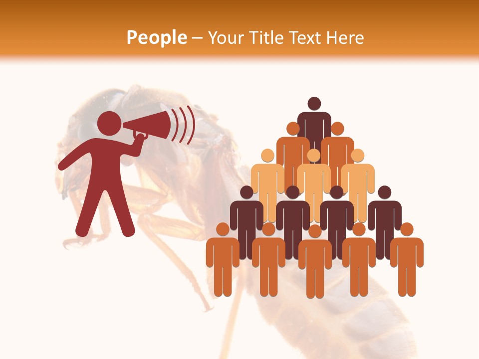 Bunch Macro Wing PowerPoint Template