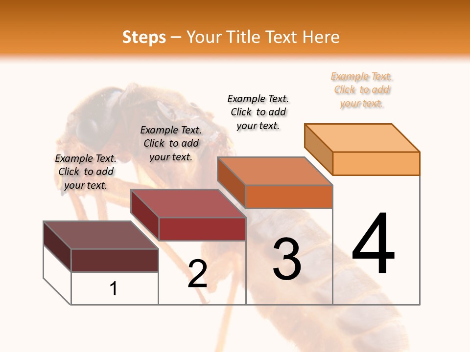 Bunch Macro Wing PowerPoint Template