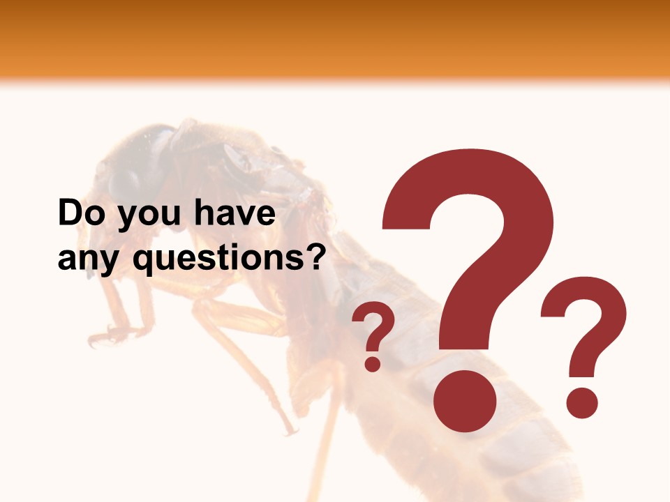 Bunch Macro Wing PowerPoint Template