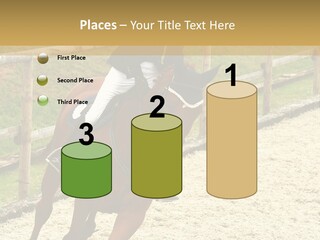 Bridle Gallop Adorable PowerPoint Template