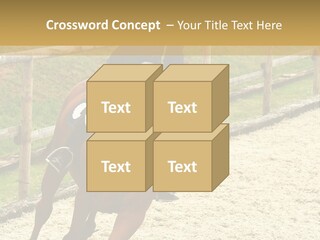 Bridle Gallop Adorable PowerPoint Template