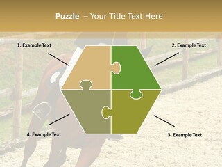 Bridle Gallop Adorable PowerPoint Template