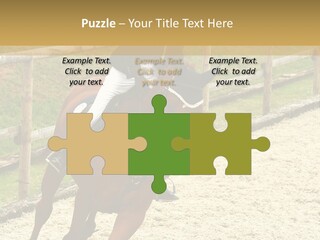 Bridle Gallop Adorable PowerPoint Template