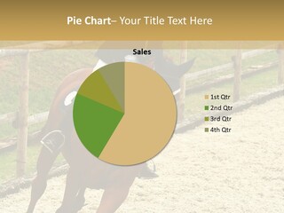 Bridle Gallop Adorable PowerPoint Template