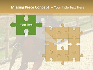 Bridle Gallop Adorable PowerPoint Template