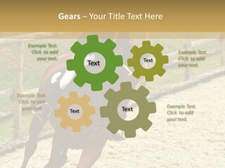 Bridle Gallop Adorable PowerPoint Template