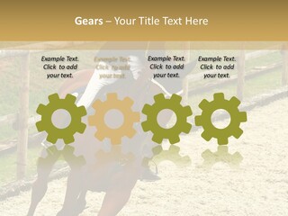 Bridle Gallop Adorable PowerPoint Template