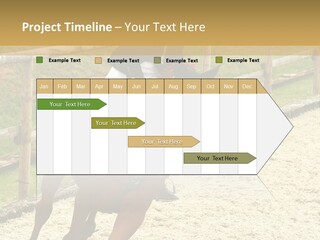 Bridle Gallop Adorable PowerPoint Template