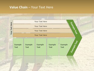 Bridle Gallop Adorable PowerPoint Template