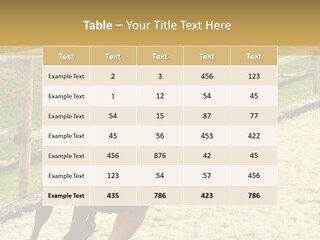 Bridle Gallop Adorable PowerPoint Template