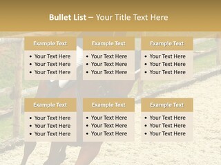 Bridle Gallop Adorable PowerPoint Template