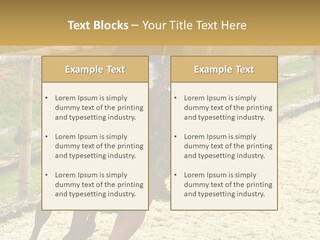 Bridle Gallop Adorable PowerPoint Template