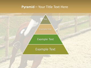 Bridle Gallop Adorable PowerPoint Template