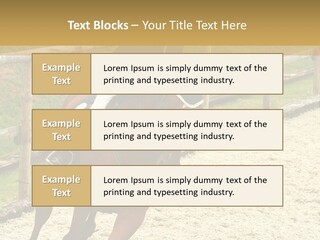 Bridle Gallop Adorable PowerPoint Template