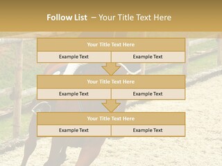 Bridle Gallop Adorable PowerPoint Template