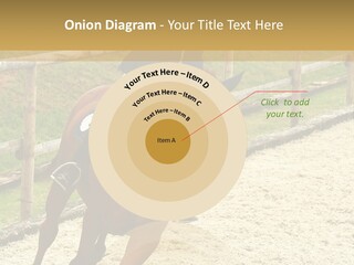 Bridle Gallop Adorable PowerPoint Template