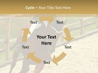 Bridle Gallop Adorable PowerPoint Template