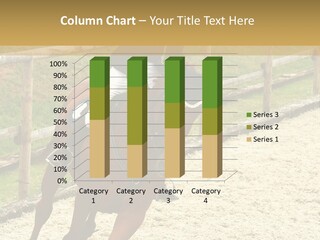 Bridle Gallop Adorable PowerPoint Template