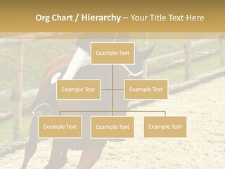 Bridle Gallop Adorable PowerPoint Template