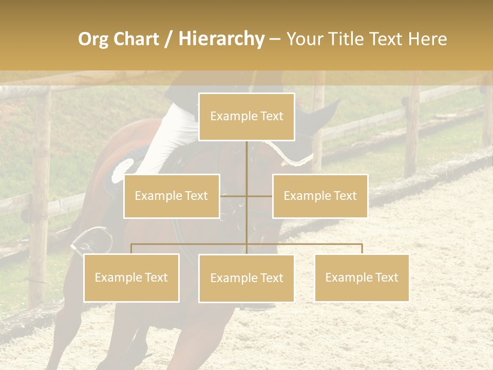 Bridle Gallop Adorable PowerPoint Template