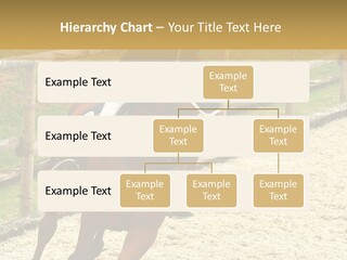 Bridle Gallop Adorable PowerPoint Template