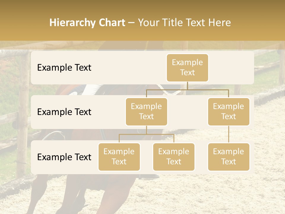 Bridle Gallop Adorable PowerPoint Template