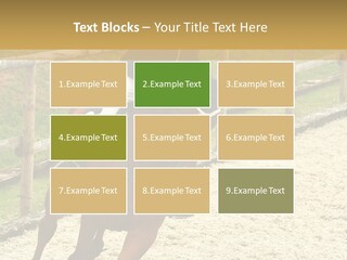 Bridle Gallop Adorable PowerPoint Template