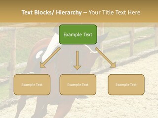 Bridle Gallop Adorable PowerPoint Template