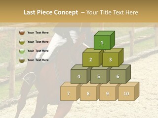 Bridle Gallop Adorable PowerPoint Template