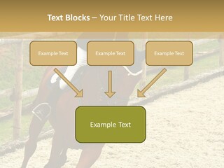 Bridle Gallop Adorable PowerPoint Template
