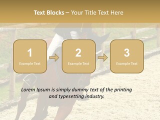 Bridle Gallop Adorable PowerPoint Template