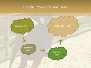 Bridle Gallop Adorable PowerPoint Template