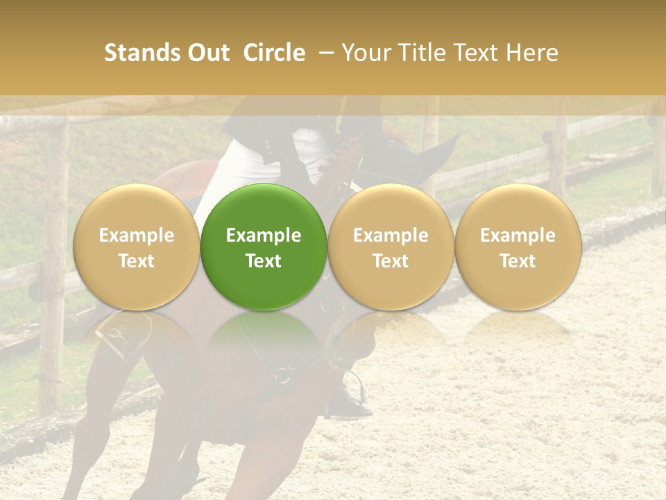 Bridle Gallop Adorable PowerPoint Template