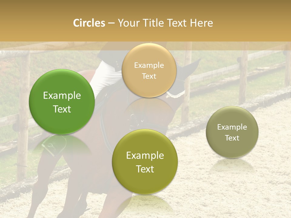 Bridle Gallop Adorable PowerPoint Template